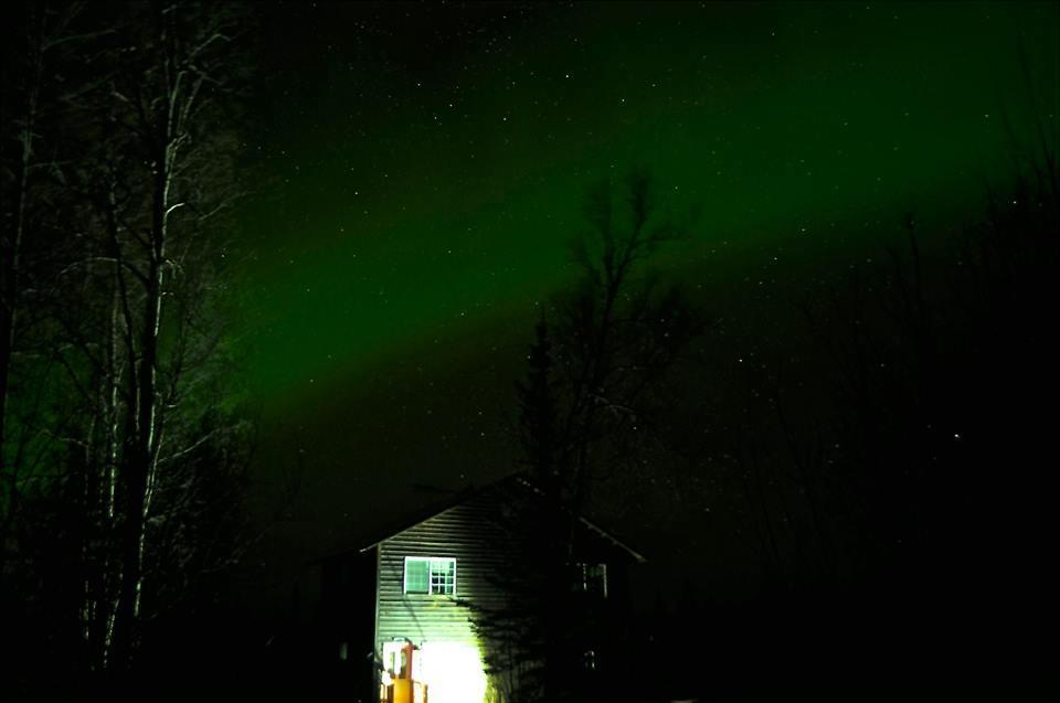 Grace And Bill'S Freedom Hills B&B Talkeetna Exterior foto